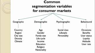 Market Segmentation Introduction [upl. by Greerson448]