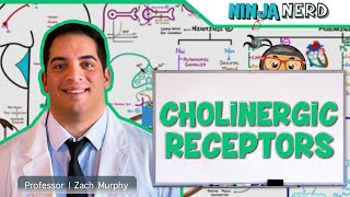 Neurology  Cholinergic Receptors [upl. by Nonnaehr]