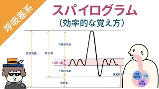 【国試対策】スパイログラム（前編）「一回換気量、予備吸気量、予備呼気量、残気量」 [upl. by Bill]