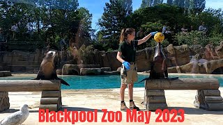 Blackpool Zoo May 2023 [upl. by Alduino]