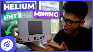 Helium Mining HNT Bobcat Miner 300 Unboxing amp How to Setup [upl. by Elenaj]