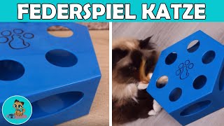 Interaktives Katzenspielzeug im Test  Federspielzeug für Katzen ✅ [upl. by Wartow830]