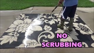 EASY Way to Clean an Area Rug NO SCRUBBING [upl. by Adnwahs65]