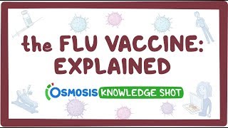 The flu vaccine explained [upl. by Necila339]