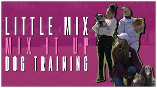 Little Mix  Mix It Up Dog Training [upl. by Wiggins338]