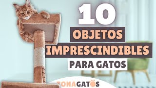 Qué NECESITA un gato 10 objetos IMPRESCINDIBLES ✔️ [upl. by Cartan]