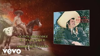 Vicente Fernández  El Palenque Audio [upl. by Werby]