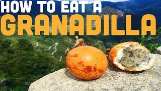 HOW TO EAT GRANADILLA [upl. by Enner949]