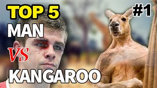 Kangaroo Fights Man  Kangaroo vs Human  Kangaroo Fight  Kangaru 😃 [upl. by Silra]