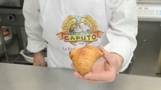 Italian dessert recipes quotsfogliatella ricciaquot  stuffing [upl. by Cristin]