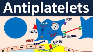 Antiplatelets  Pharmacology in easy way [upl. by Thompson387]