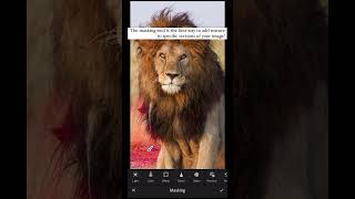 Masking in Lightroom Mobile to Add Depth [upl. by Orelie]