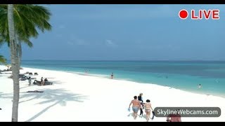 Amazing live webcam from the Maldives [upl. by Ethben267]