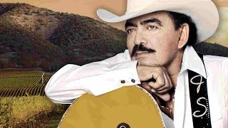 Joan Sebastian  Pirata De Amor [upl. by Dirgis]