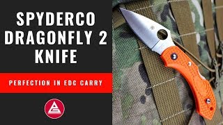 Spyderco Dragonfly 2 EDC Knife Review [upl. by Kowtko]