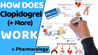 How Does Clopidogrel Antiplatelets Work  Pharmacology [upl. by Lamp]