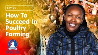 How To Succeed In Poultry Farming Layers [upl. by Melloney]