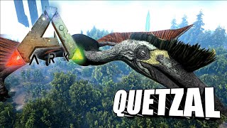 Taming A Quetzal  Ark Survival Evolved  The Island [upl. by Hilliard]