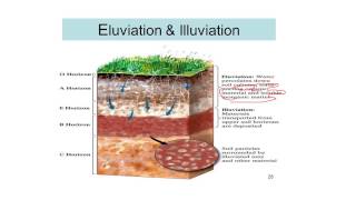 Process of Soil Formation Soil science 12 [upl. by Tayler]