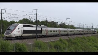 BRUITS DE TRAINS  LES TGV [upl. by Atlas]