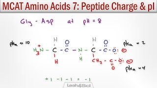 How to Calculate Peptide Charge and Isoelectric Point MCAT Trick [upl. by Nickolas944]