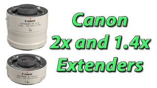 Canon 2x and 14x Extenders Photography Gear Review [upl. by Mayfield753]