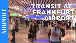 TRANSIT WALK AT FRANKFURT Airport FRA Terminal 1  Connection Flight Transfer Arriving amp Departing [upl. by Trebma]