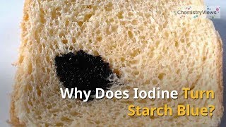 Why Does Iodine Turn Starch Blue [upl. by Ailemac]