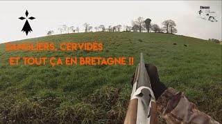 BATTUES AUX GROS GIBIERS  CERVIDÉS ET SANGLIERS  ELOUAN CHASSE [upl. by Tenaej]