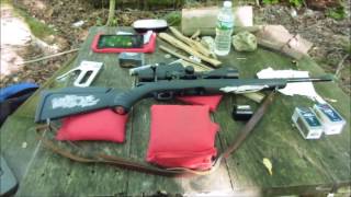 Compact Ruger American 22 Mag [upl. by Willis601]