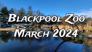 Blackpool Zoo in March 2024 [upl. by Leslie]