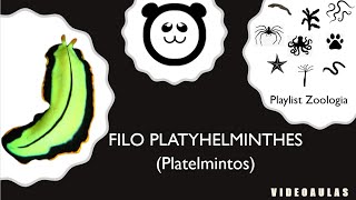 Filo Platyhelminthes Os Platelmintos [upl. by Lirpa]