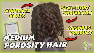 Is your hair MEDIUM POROSITY How To Tell [upl. by Adnilg224]