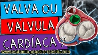 Valvas cardíacas  BICÚSPIDE TRICÚSPIDE MITRAL ÁTRIOVENTRICULAR SEMILUNARES [upl. by Raamaj]